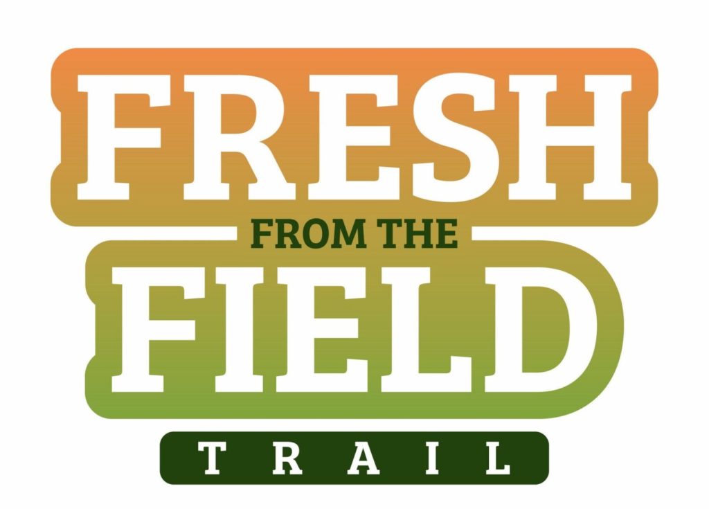 Fresh Ft Field Logo Opts 05 1 1 Scaled.jpg
