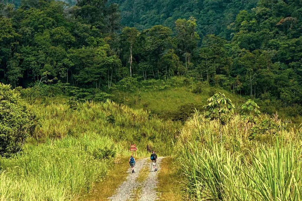 Tal Camino Costa Rica Hikers Dotycrcamino1223 Adb17d7293f74042a9de9d2cd77ff727.jpg