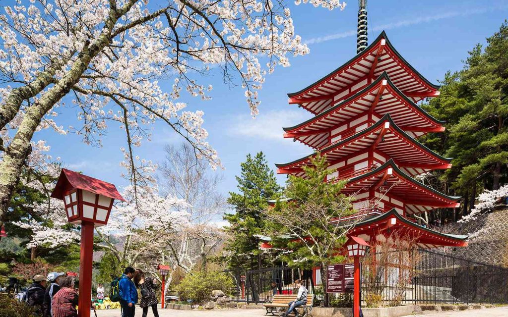 Sakura Temple Pagoda Japan Visitjp0218 73f37dad55eb4cb5b02ea4ae0eee714d.jpg