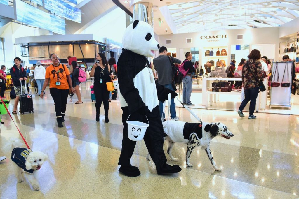 Person In Costume At Lax.jpg