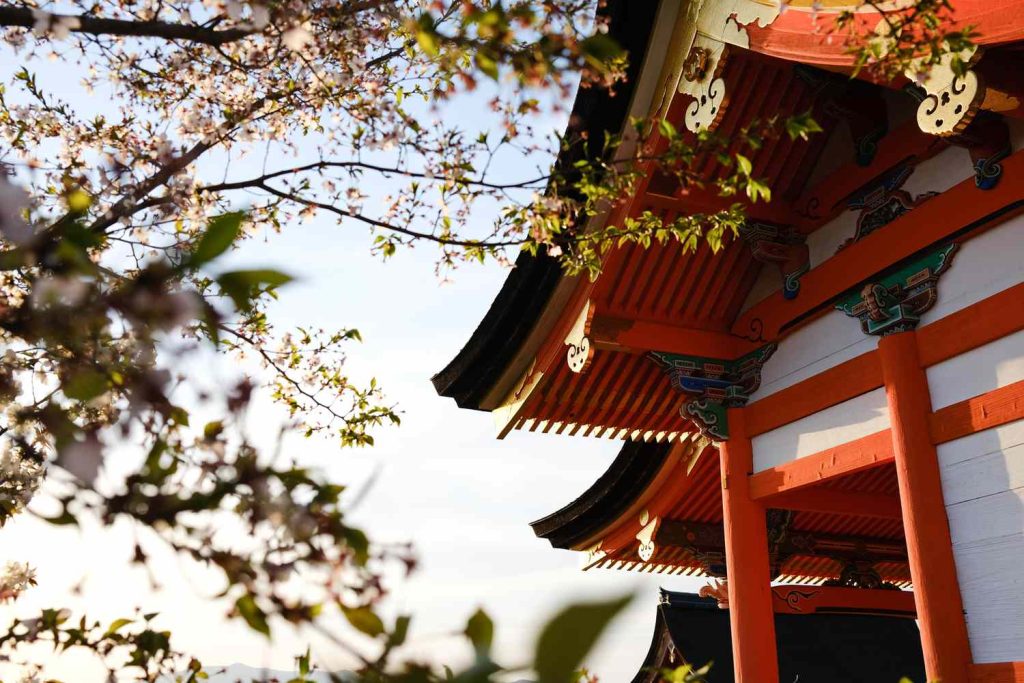 Tal Kyoto Temple And Cherry Blossoms Flyjpcheap1024 3a429b946e3640da90b31c4a3bc13b23.jpg