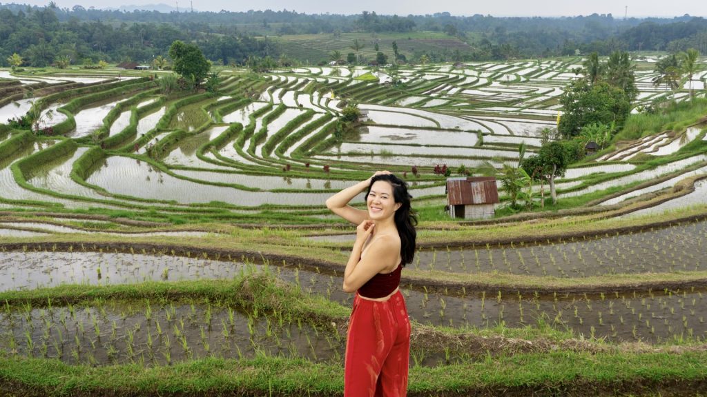 108077918 1734557942399 Bali Rice Fields 1.jpg